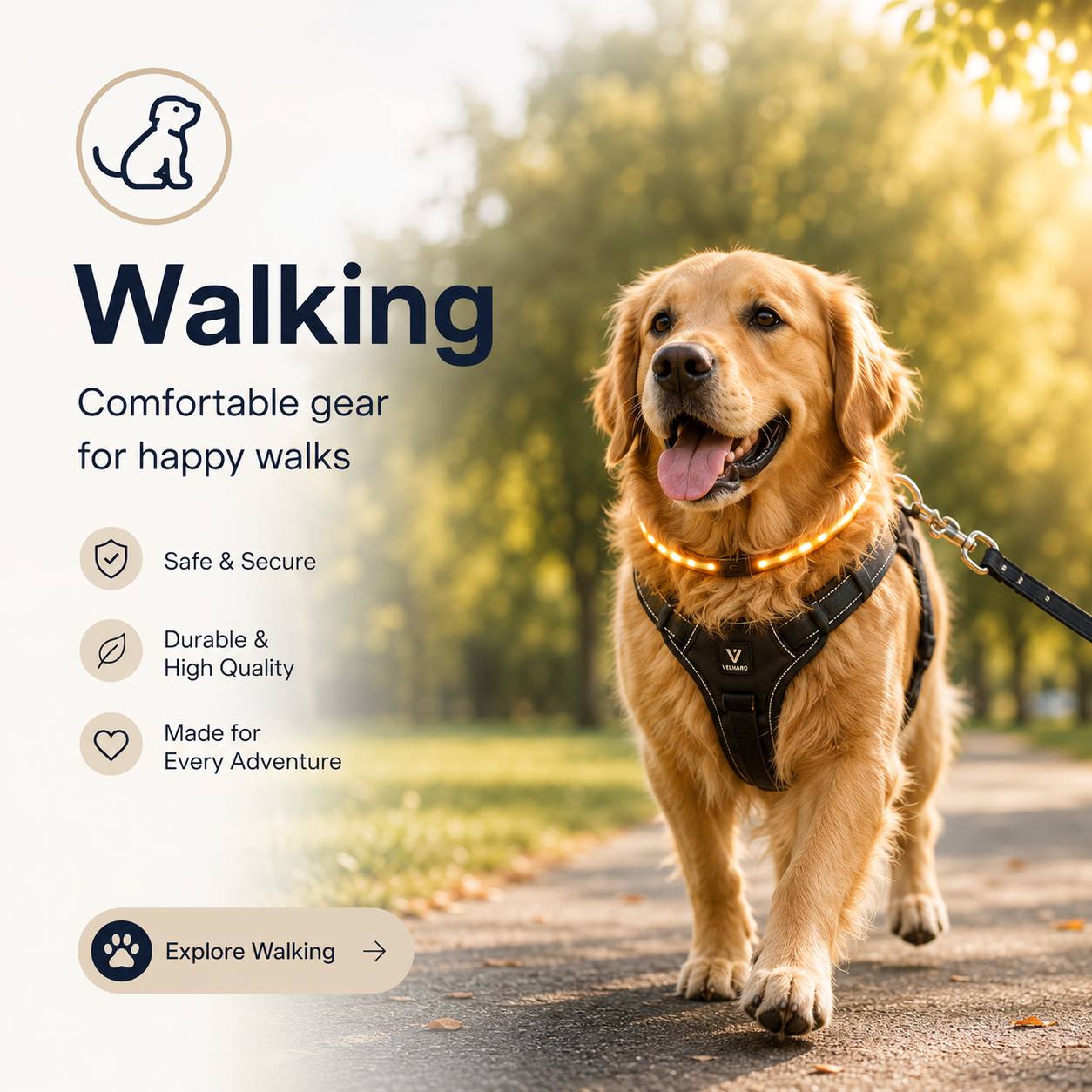 Walking