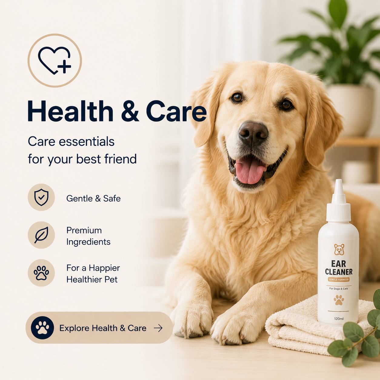 Health & Care