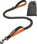 Shock Absorbing Dog Leash – Heavy Duty Reflective Bungee Lead with Dual Handles