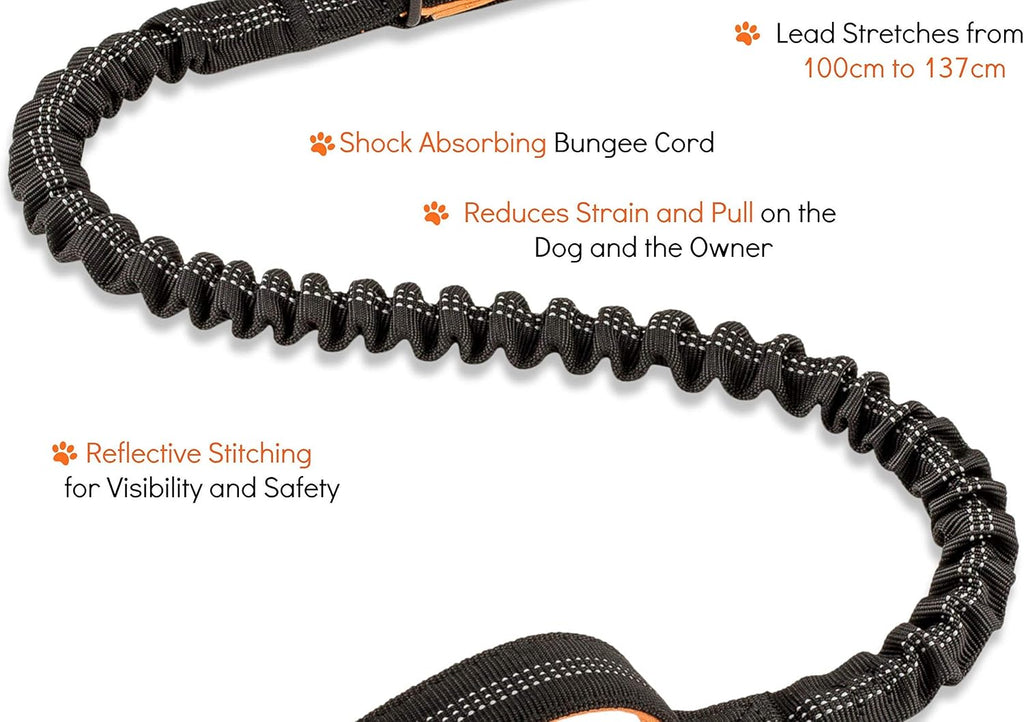 Shock Absorbing Dog Leash – Heavy Duty Reflective Bungee Lead with Dual Handles