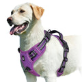 No Pull Dog Harness with Control Handle