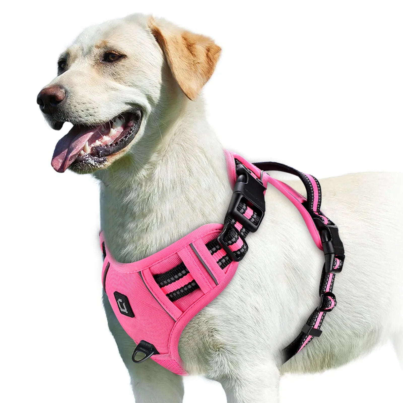 No Pull Dog Harness with Control Handle
