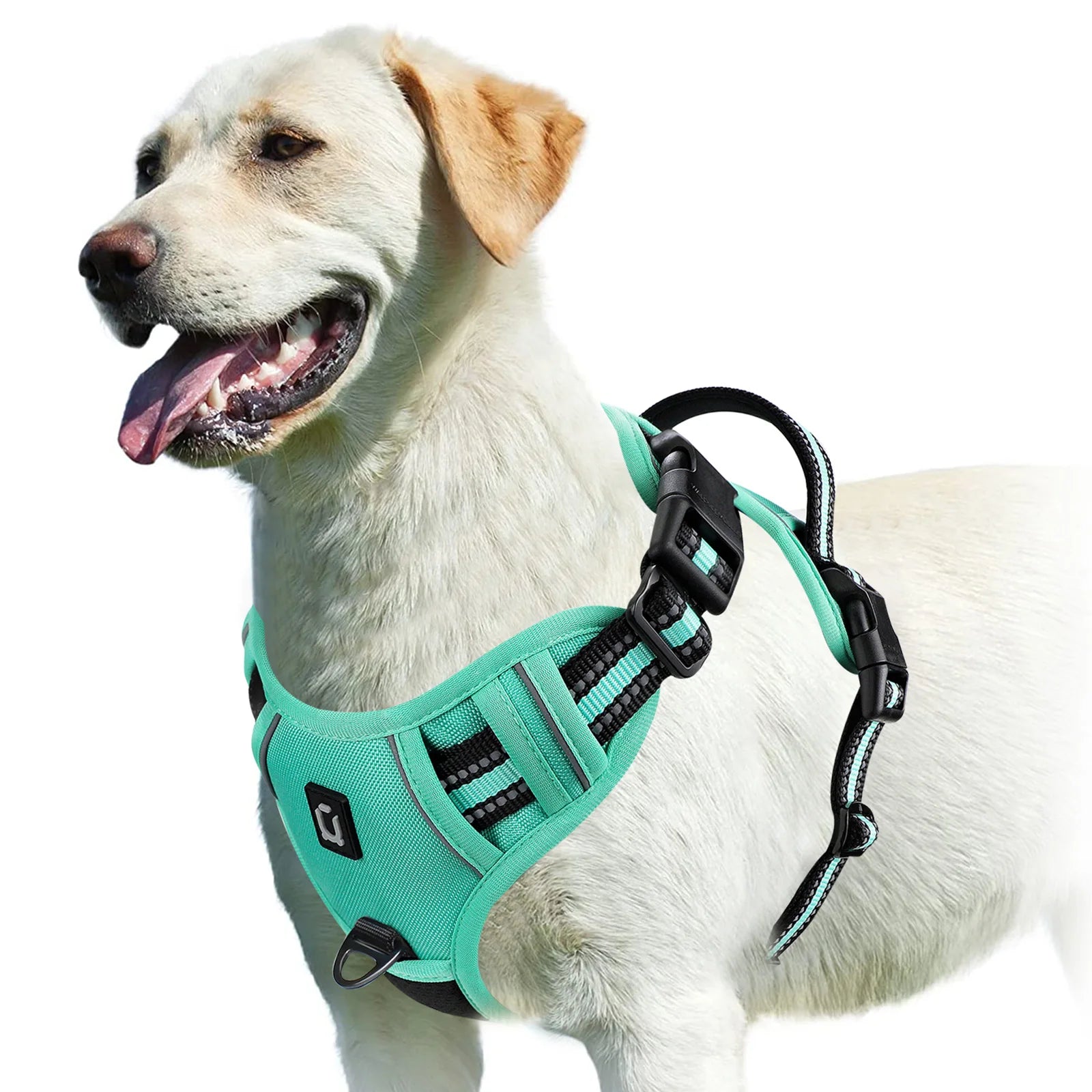 No Pull Dog Harness with Control Handle
